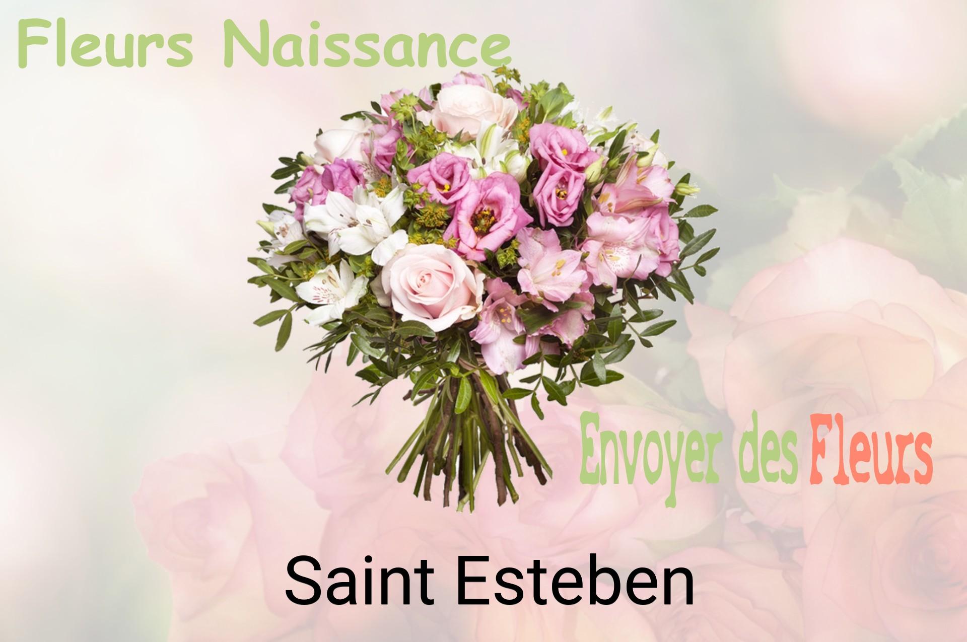 Bouquet de fleurs de naissance livré à Saint-Esteben