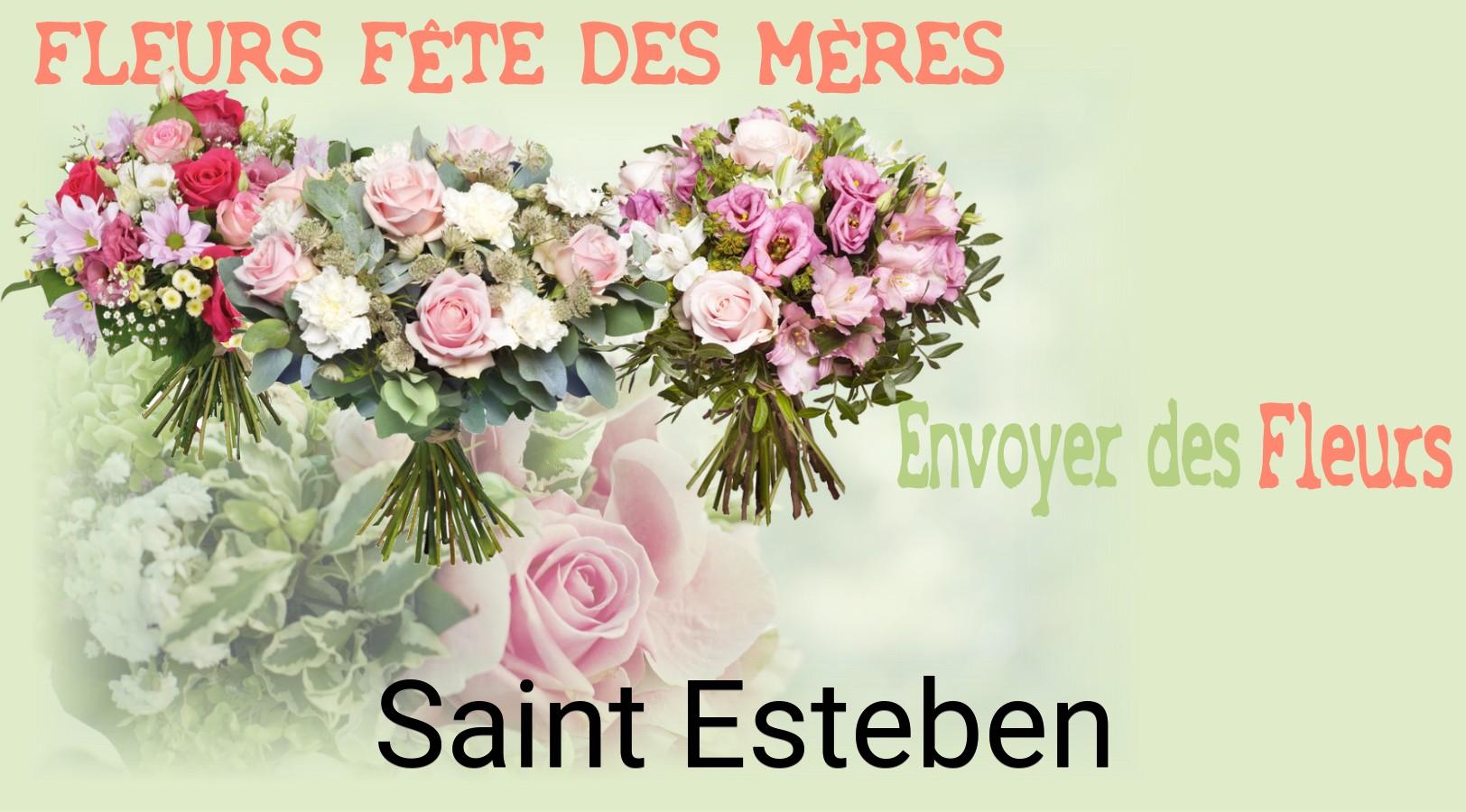 Bouquet de Fête des Mères livré à Saint-Esteben